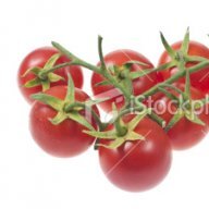 Tomate