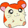 hamtaro